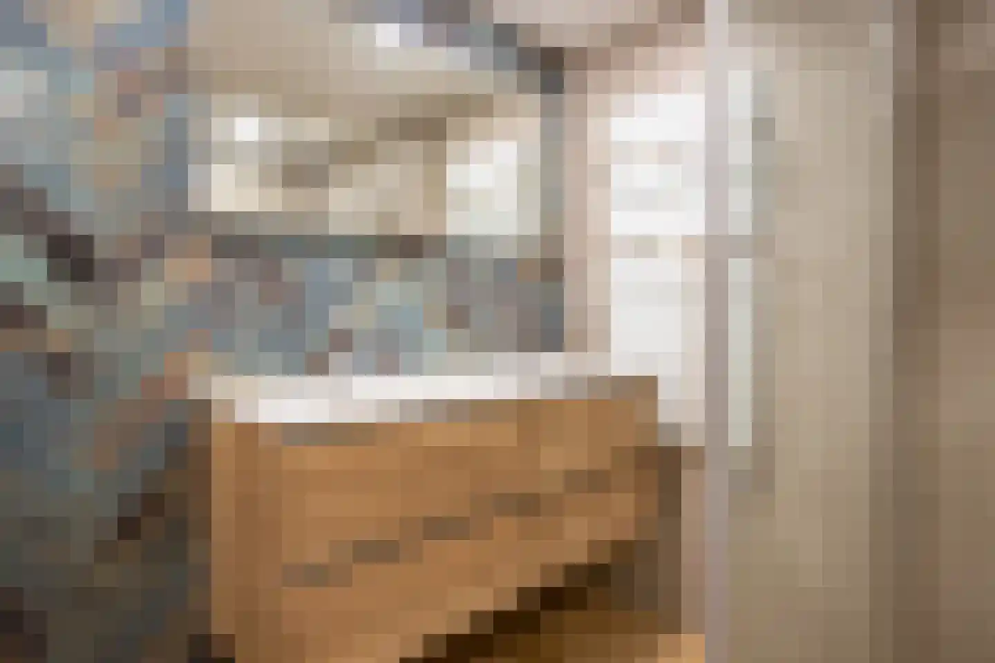 Lage Gouwe 198 d Gouda thumbnail 19