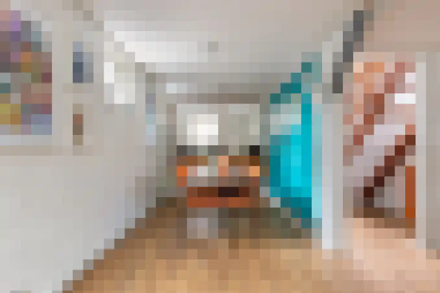 Lage Gouwe 198 d Gouda thumbnail 22