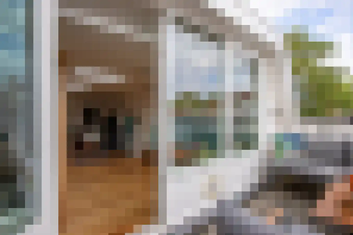 Lage Gouwe 198 d Gouda thumbnail 50