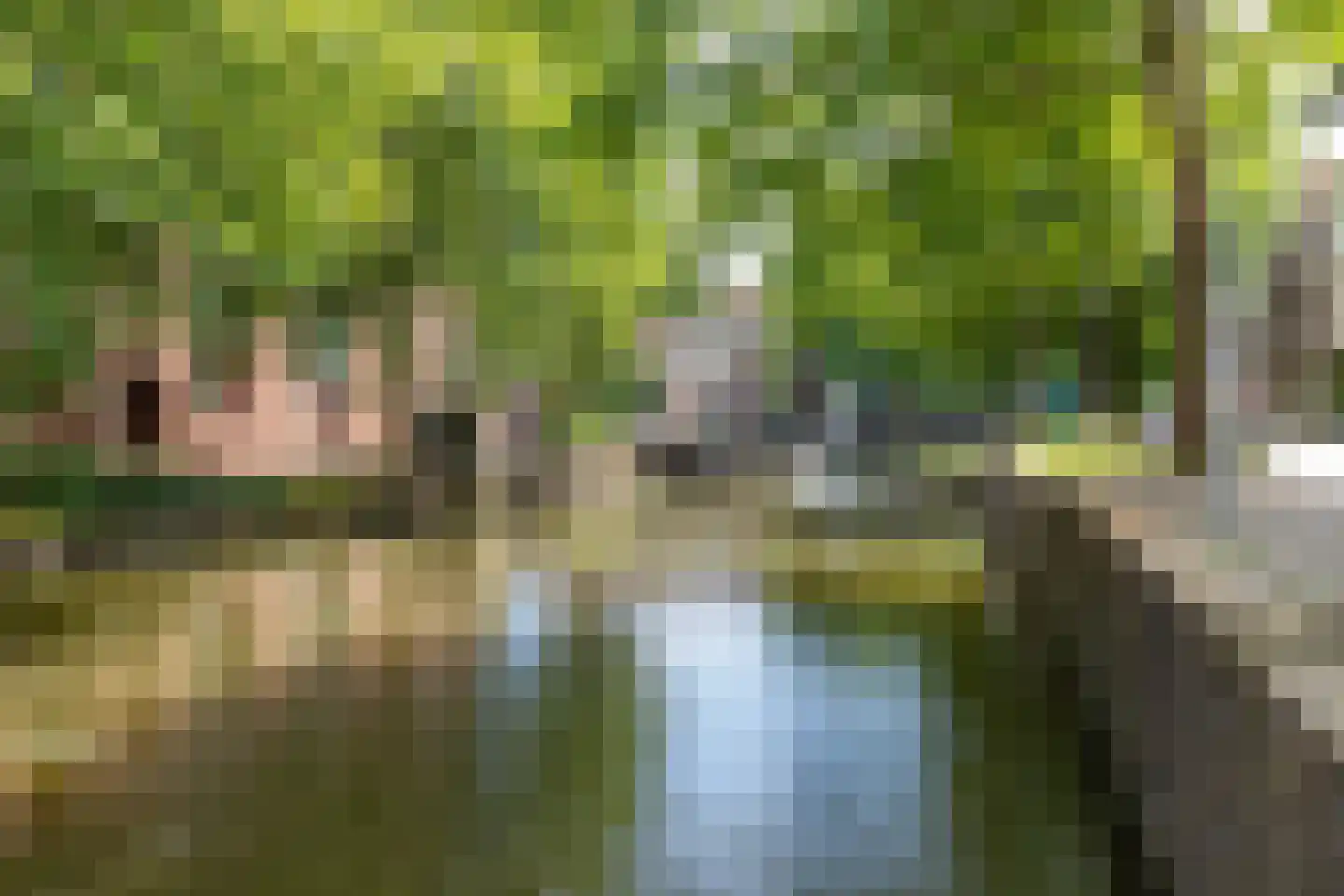 Lage Gouwe 198 d Gouda thumbnail 61