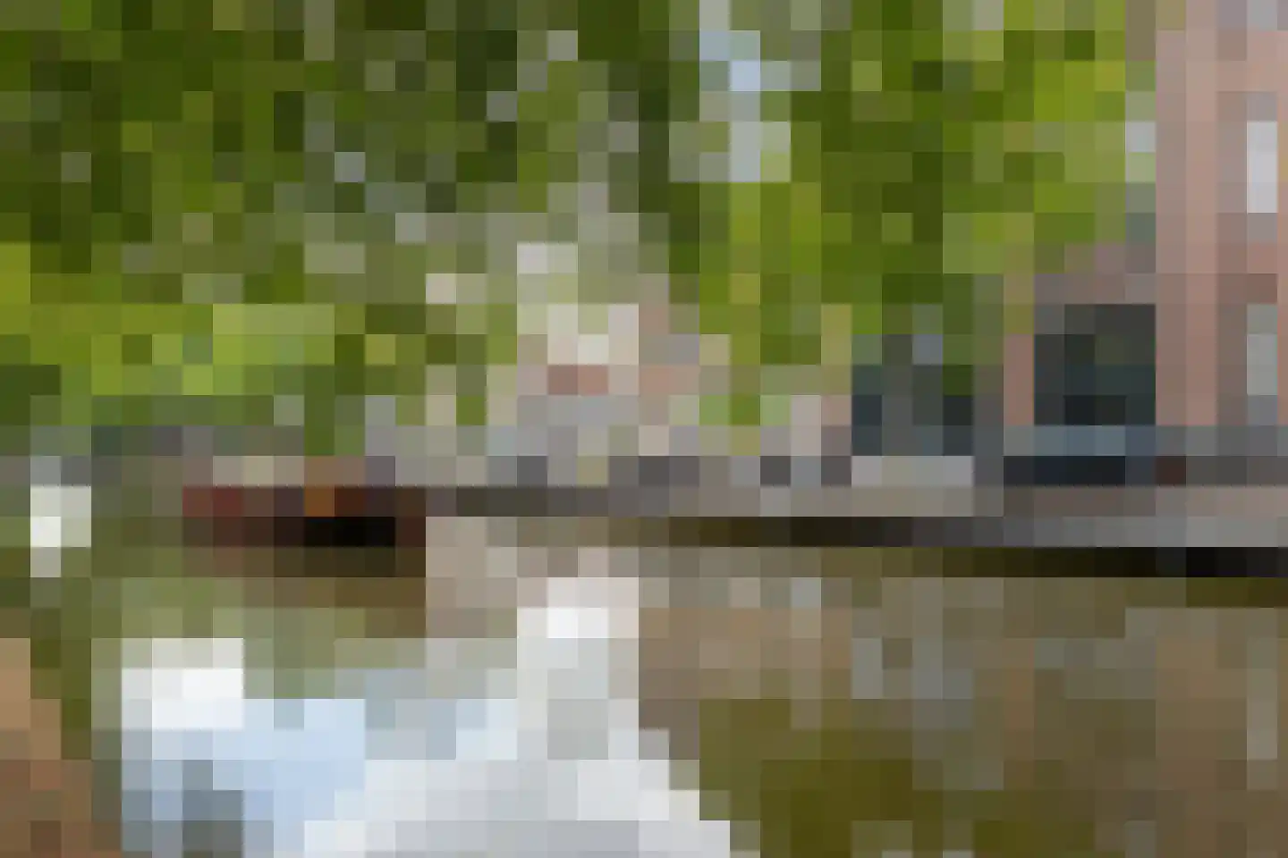 Lage Gouwe 198 d Gouda thumbnail 63
