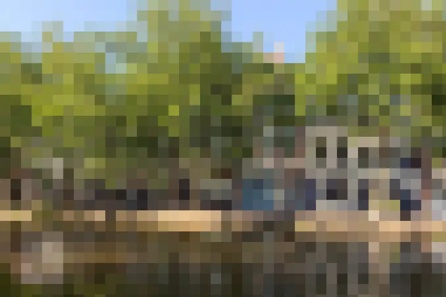 Lage Gouwe 198 d Gouda thumbnail 65