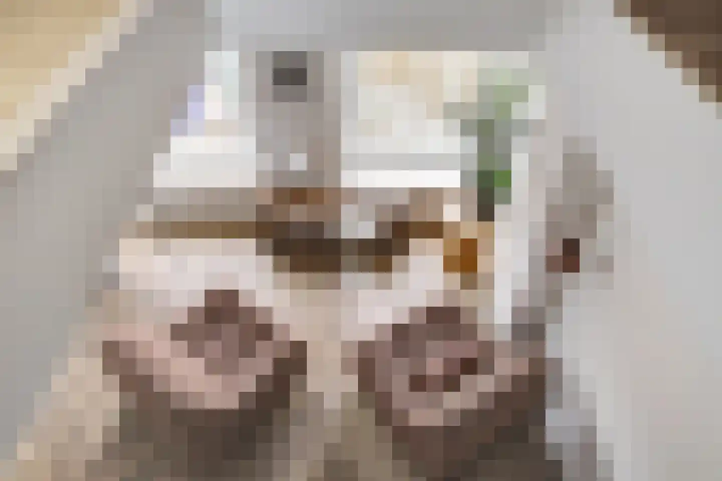 Lage Gouwe 234 a Gouda thumbnail 12