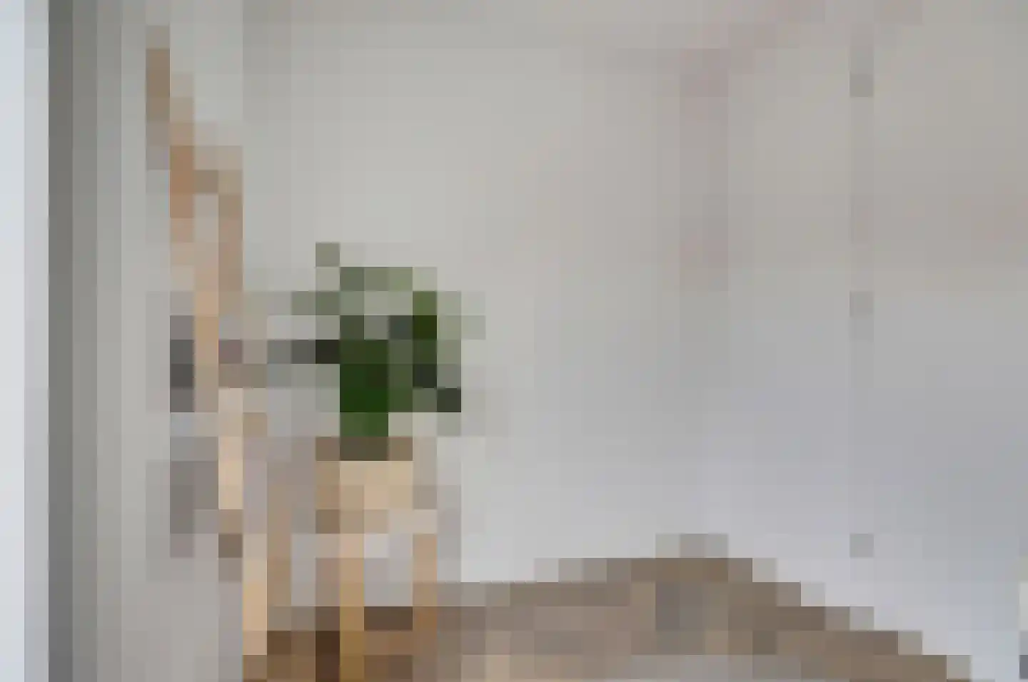 Lage Gouwe 234 a Gouda thumbnail 16