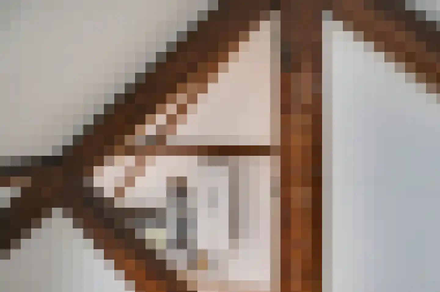 Lage Gouwe 234 a Gouda thumbnail 20