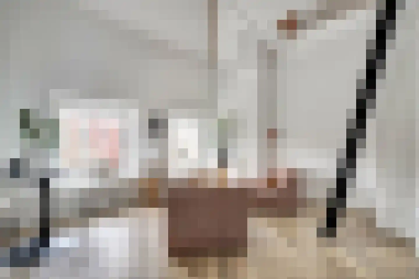 Lage Gouwe 234 a Gouda thumbnail 9