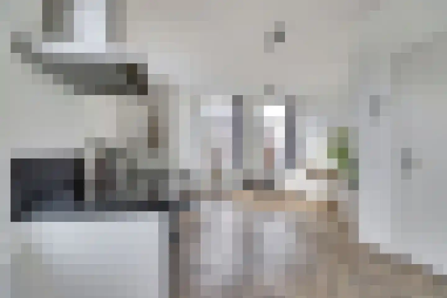 Lage Gouwe 234 Gouda thumbnail 16