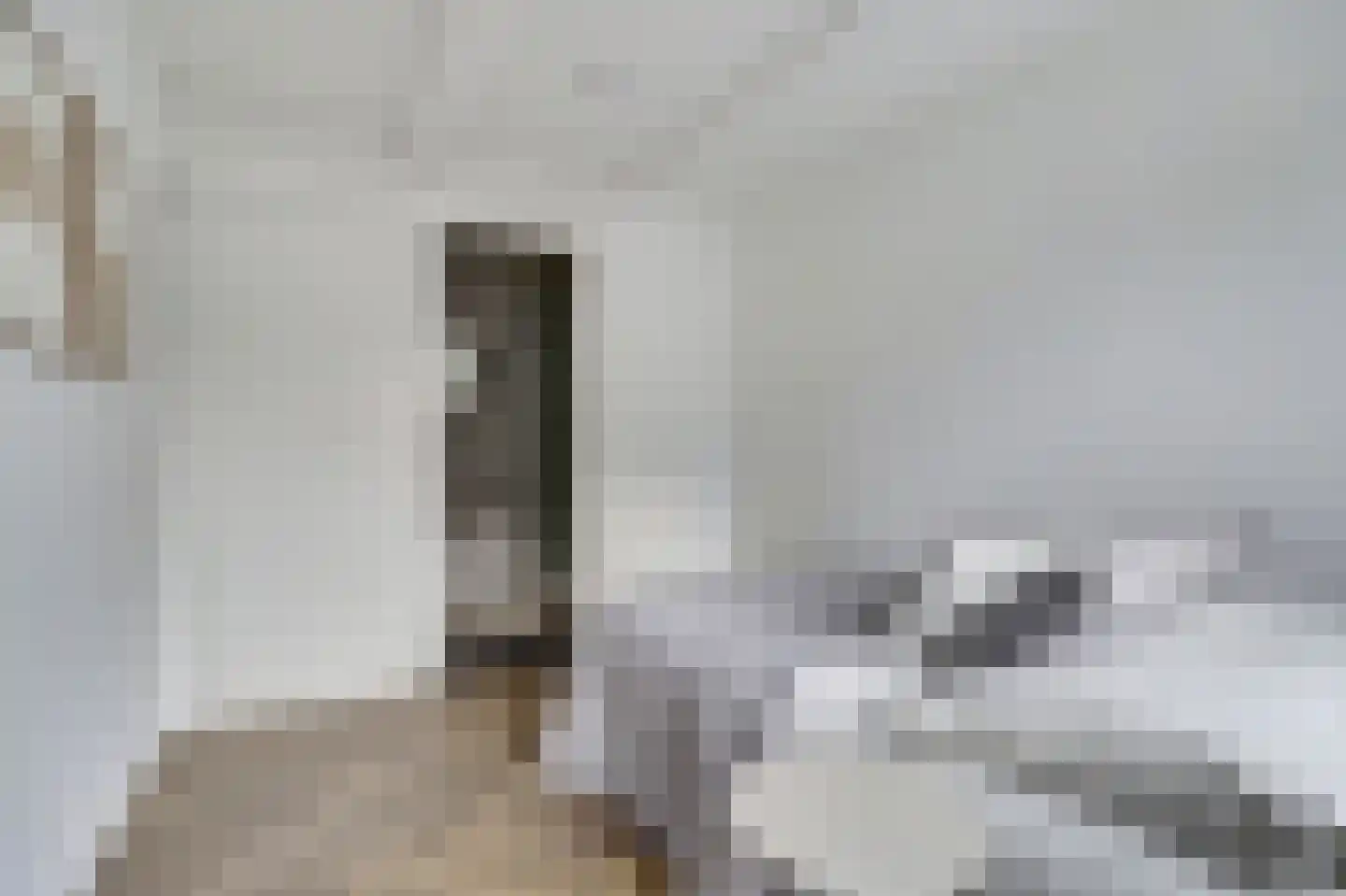 Lage Gouwe 234 Gouda thumbnail 17