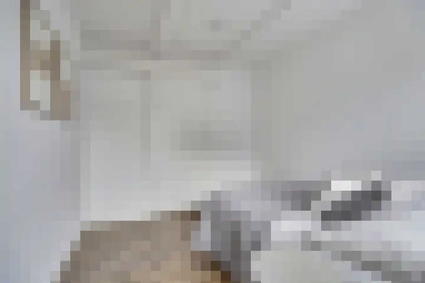 Lage Gouwe 234 Gouda thumbnail 19