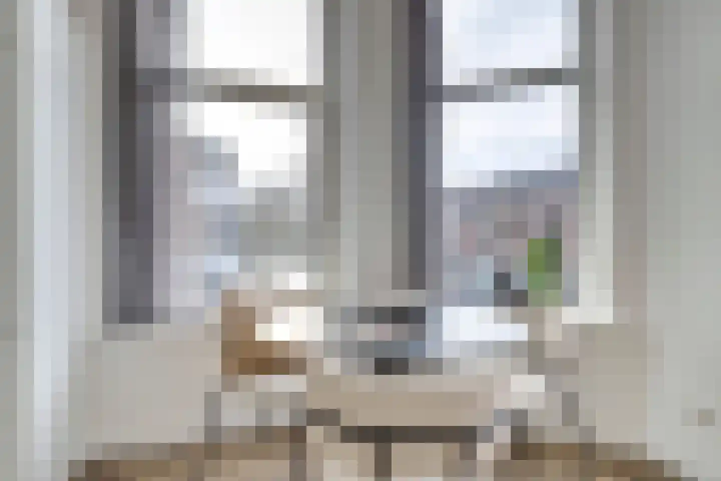 Lage Gouwe 234 Gouda thumbnail 4