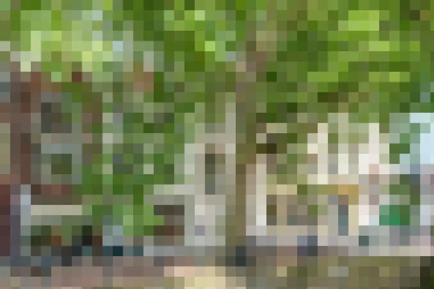 Lage Gouwe 6 Gouda thumbnail 12