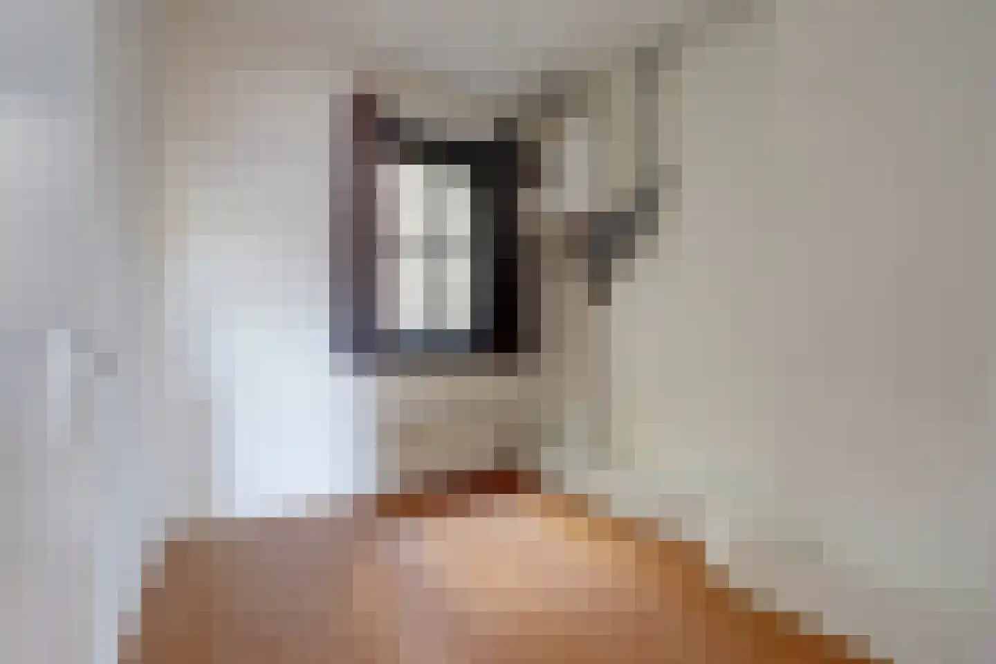 Lage Gouwe 6 Gouda thumbnail 6