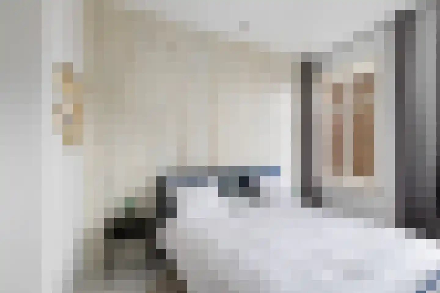 Lage Gouwe 74 a Gouda thumbnail 30