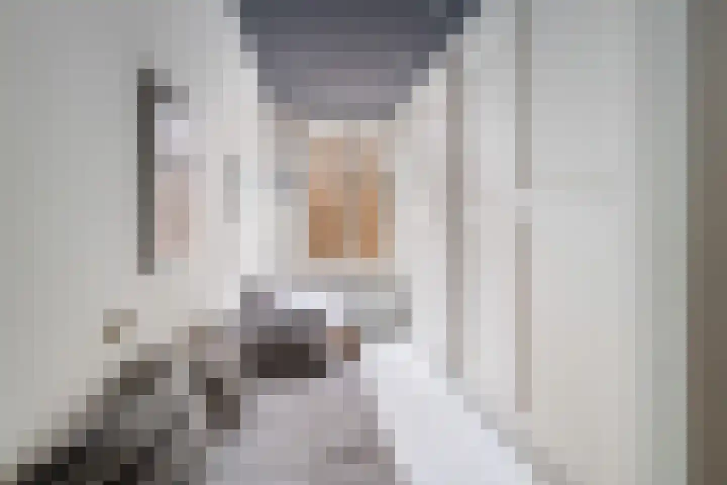 Lage Gouwe 74 a Gouda thumbnail 33