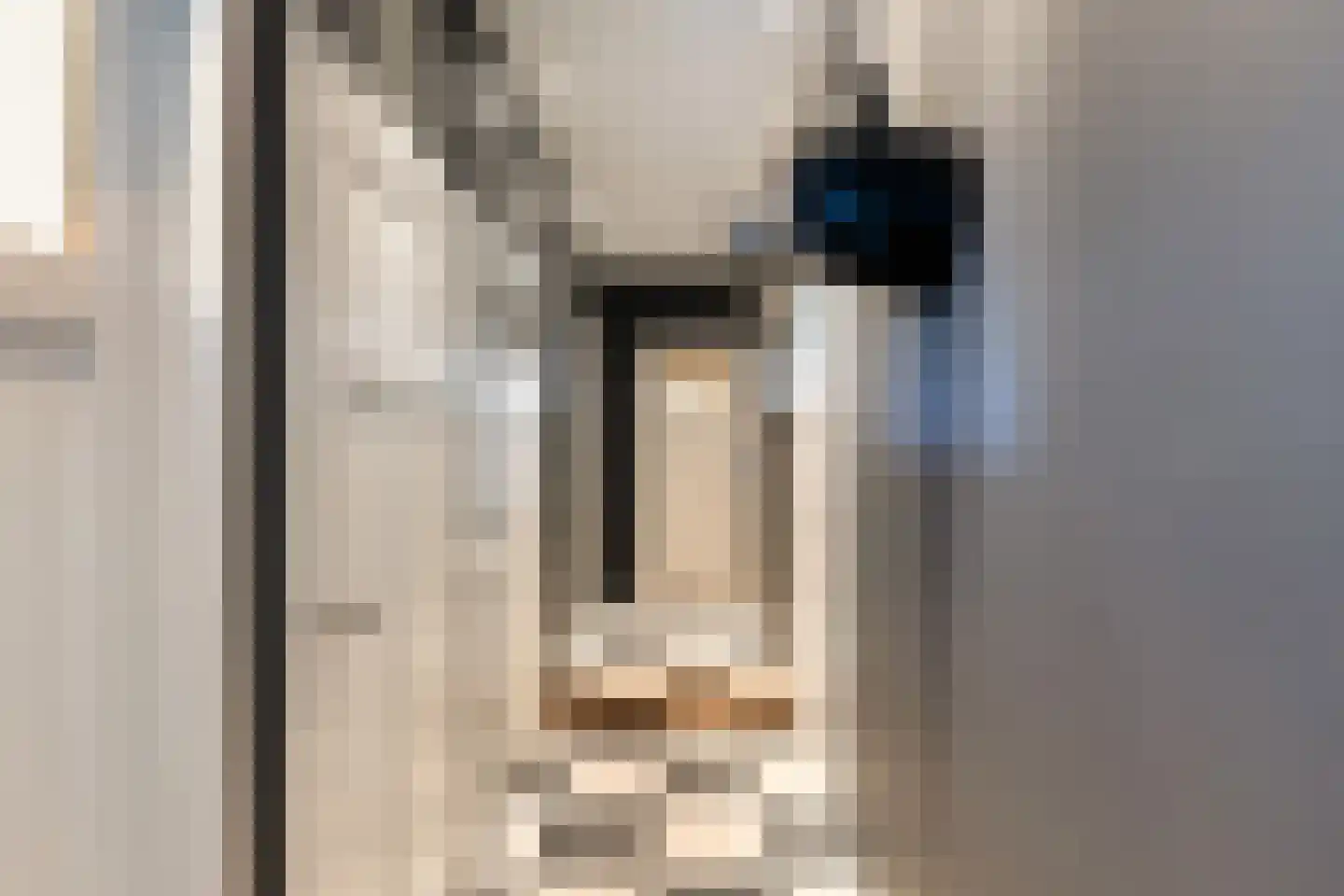 Lage Gouwe 74 a Gouda thumbnail 35