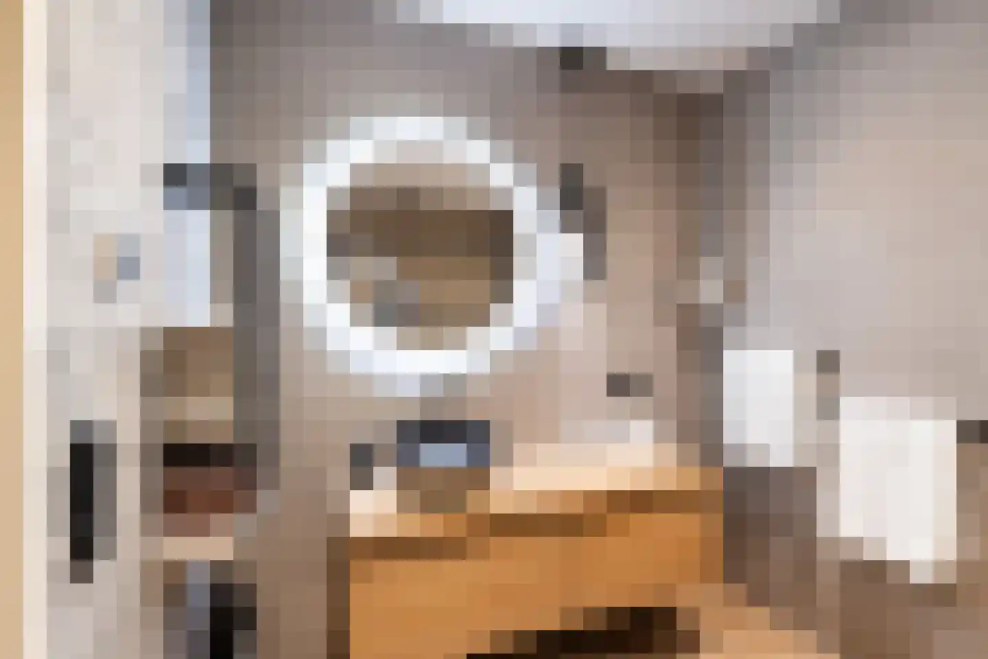 Lage Gouwe 74 a Gouda thumbnail 37