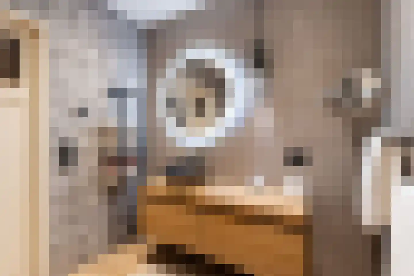 Lage Gouwe 74 a Gouda thumbnail 38