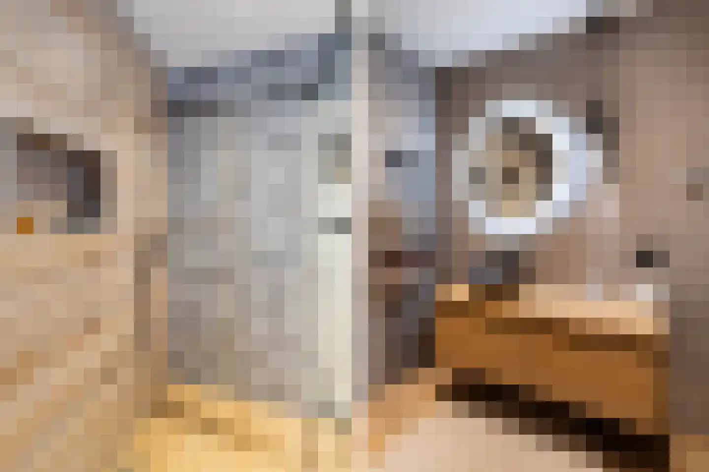 Lage Gouwe 74 a Gouda thumbnail 39