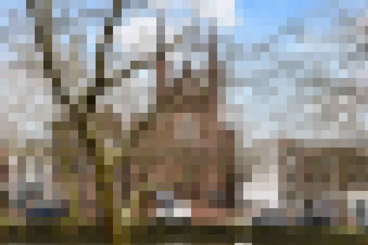 Lage Gouwe 74 a Gouda thumbnail 40