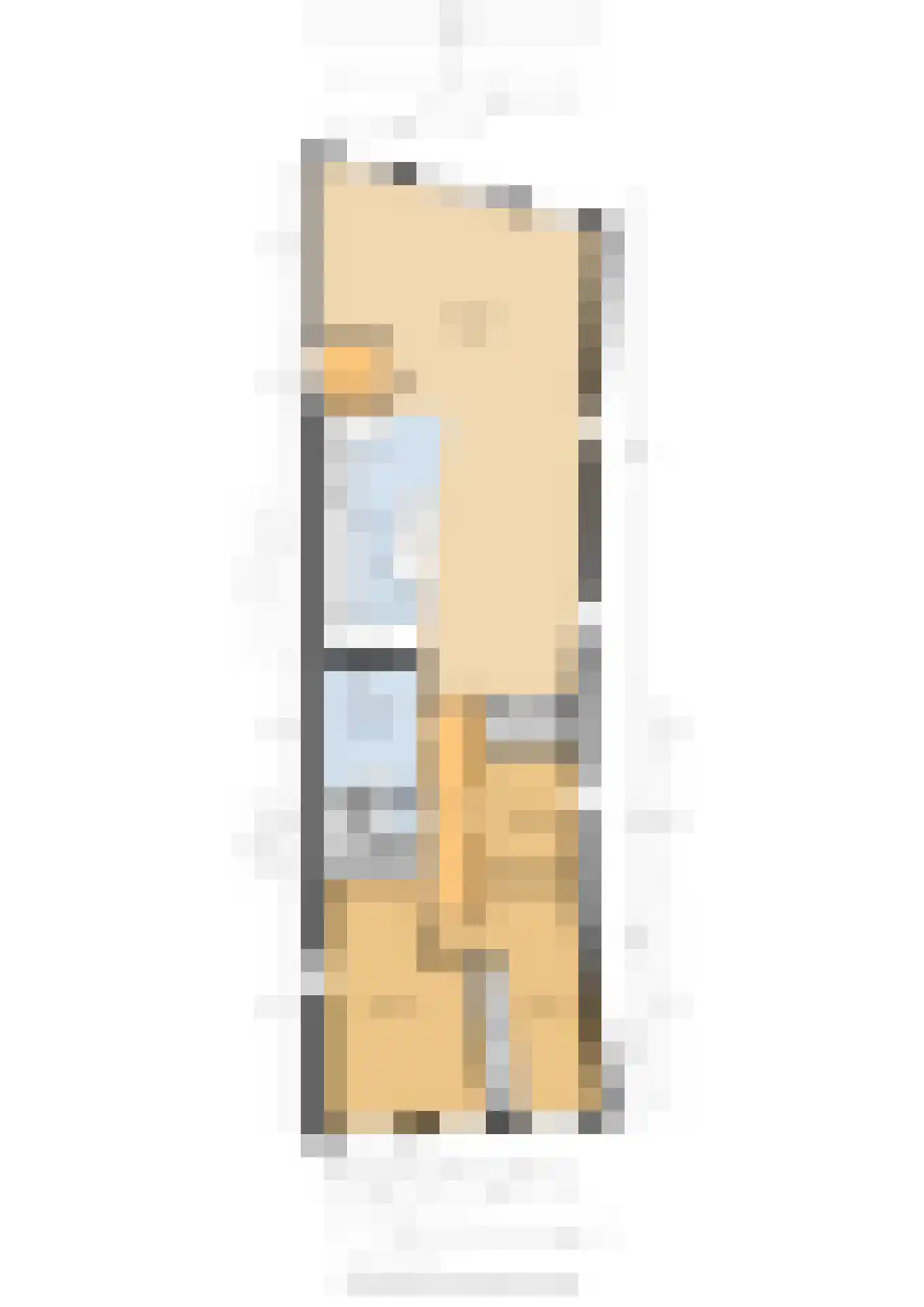 Lage Gouwe 74 a Gouda thumbnail 46