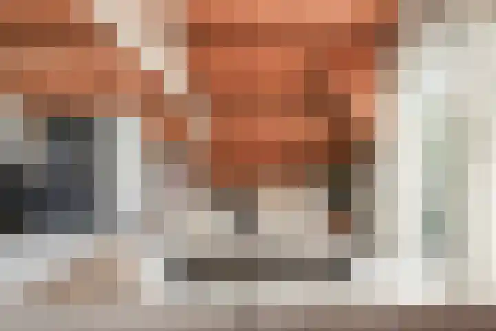 Lage Gouwe 74 b Gouda thumbnail 11