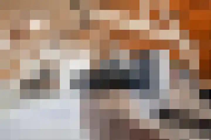 Lage Gouwe 74 b Gouda thumbnail 12