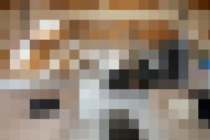 Lage Gouwe 74 b Gouda thumbnail 14