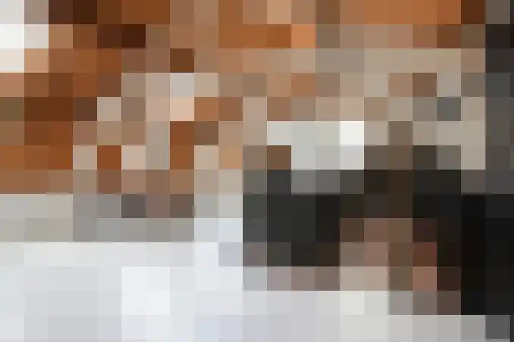 Lage Gouwe 74 b Gouda thumbnail 15
