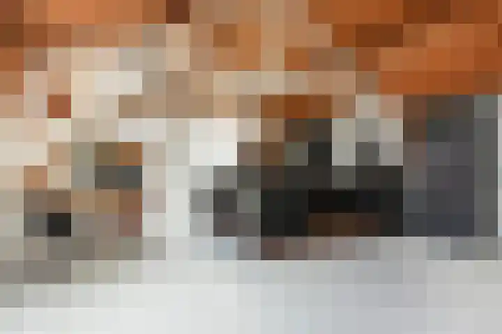 Lage Gouwe 74 b Gouda thumbnail 16