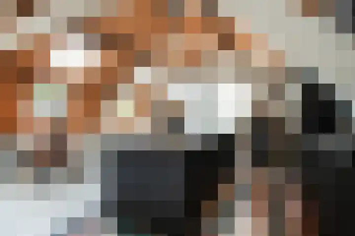 Lage Gouwe 74 b Gouda thumbnail 19