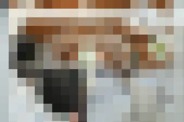 Lage Gouwe 74 b Gouda thumbnail 25