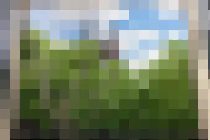 Lage Gouwe 74 b Gouda thumbnail 26