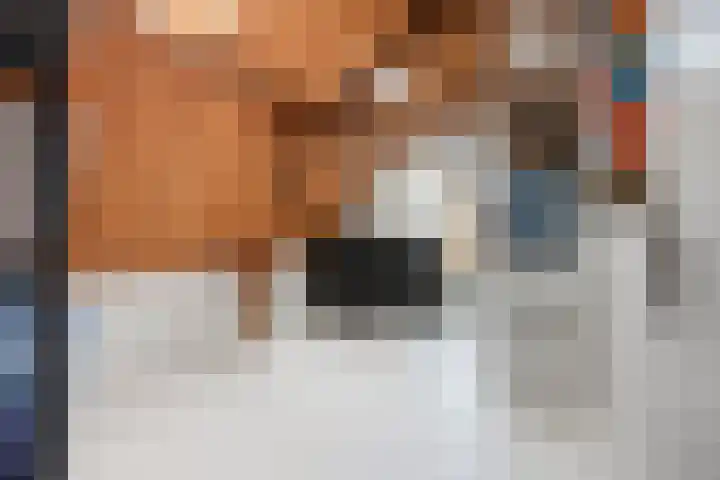 Lage Gouwe 74 b Gouda thumbnail 29