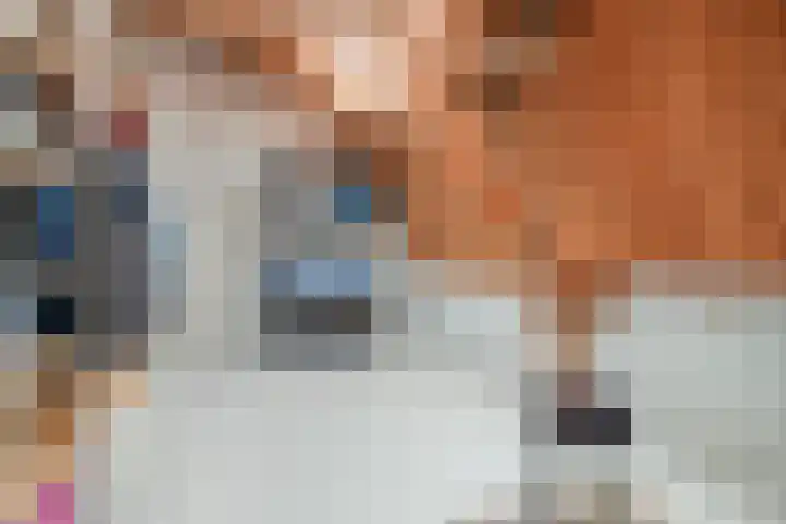 Lage Gouwe 74 b Gouda thumbnail 31