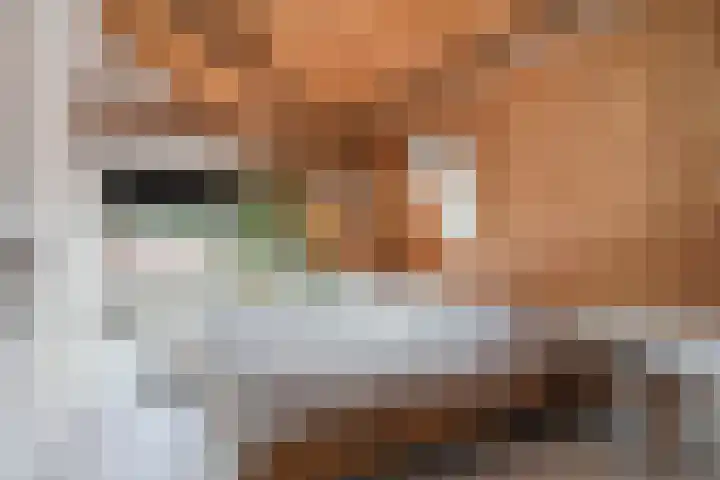 Lage Gouwe 74 b Gouda thumbnail 32