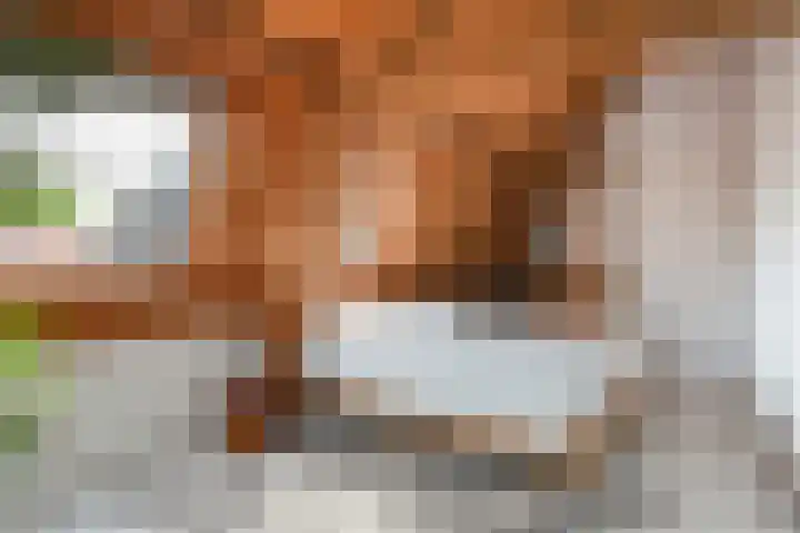 Lage Gouwe 74 b Gouda thumbnail 33
