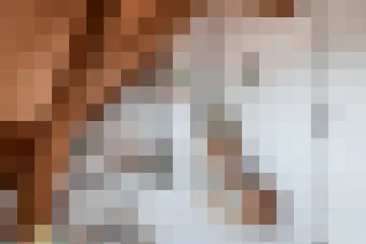 Lage Gouwe 74 b Gouda thumbnail 35