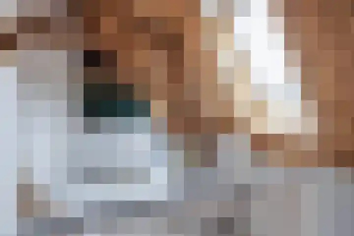 Lage Gouwe 74 b Gouda thumbnail 36