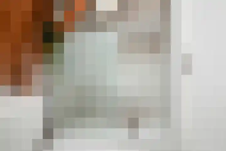 Lage Gouwe 74 b Gouda thumbnail 39