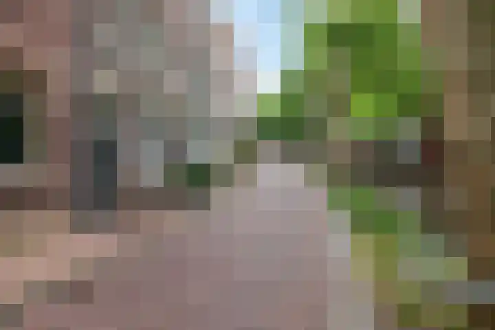 Lage Gouwe 74 b Gouda thumbnail 45