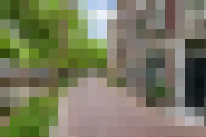 Lage Gouwe 74 b Gouda thumbnail 46