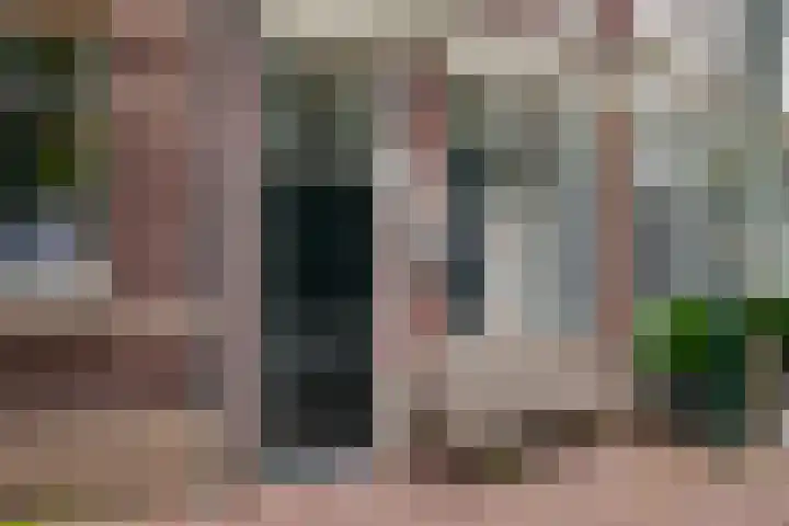 Lage Gouwe 74 b Gouda thumbnail 47