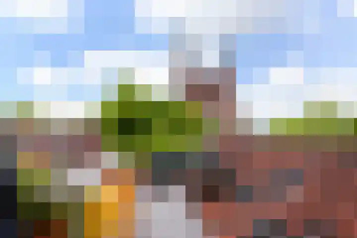 Lage Gouwe 74 b Gouda thumbnail 48
