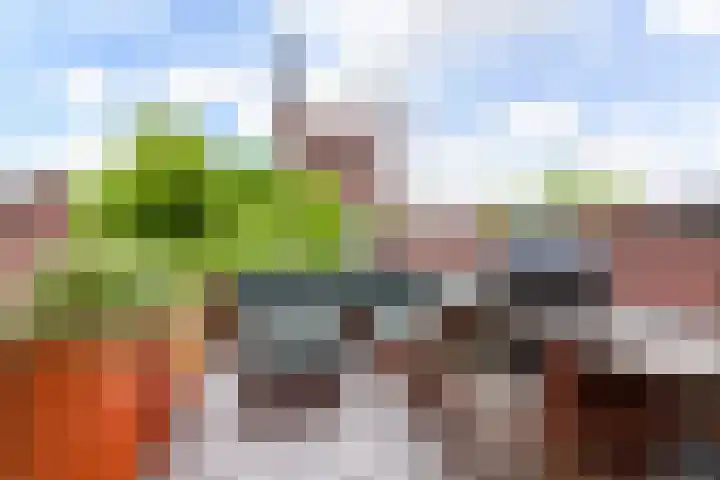 Lage Gouwe 74 b Gouda thumbnail 49