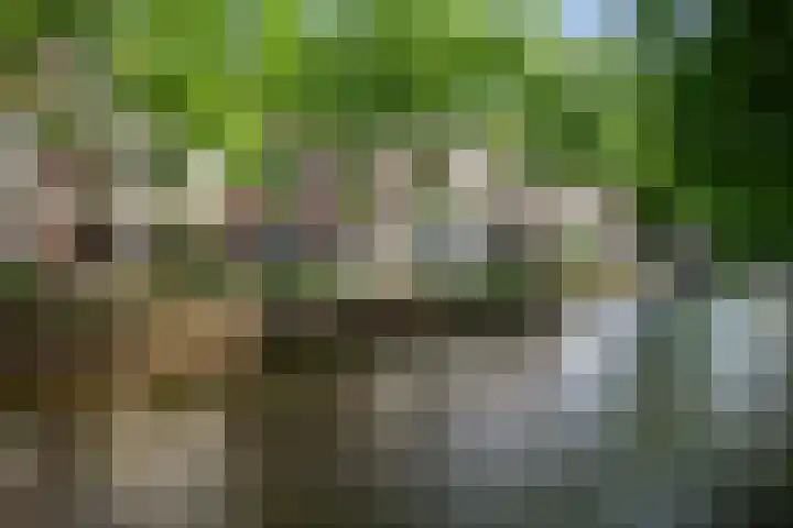 Lage Gouwe 74 b Gouda thumbnail 53