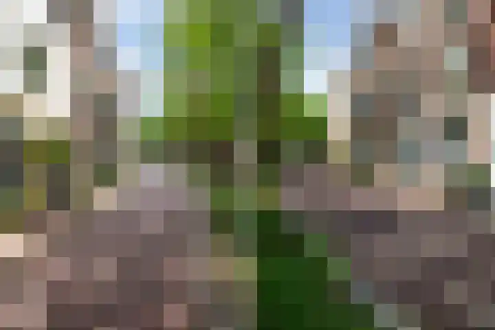 Lage Gouwe 74 b Gouda thumbnail 55