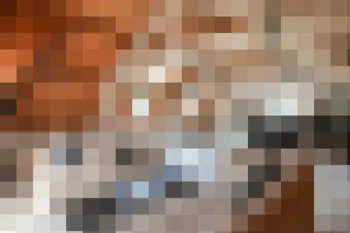 Lage Gouwe 74 b Gouda thumbnail 58