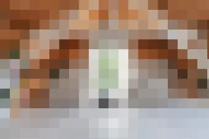 Lage Gouwe 74 b Gouda thumbnail 8