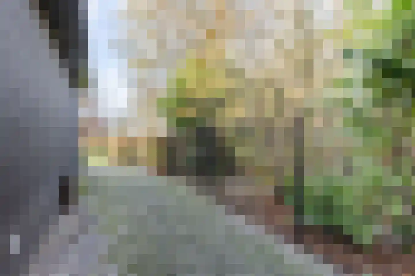 Lage Haghorst 21 Haghorst thumbnail 17