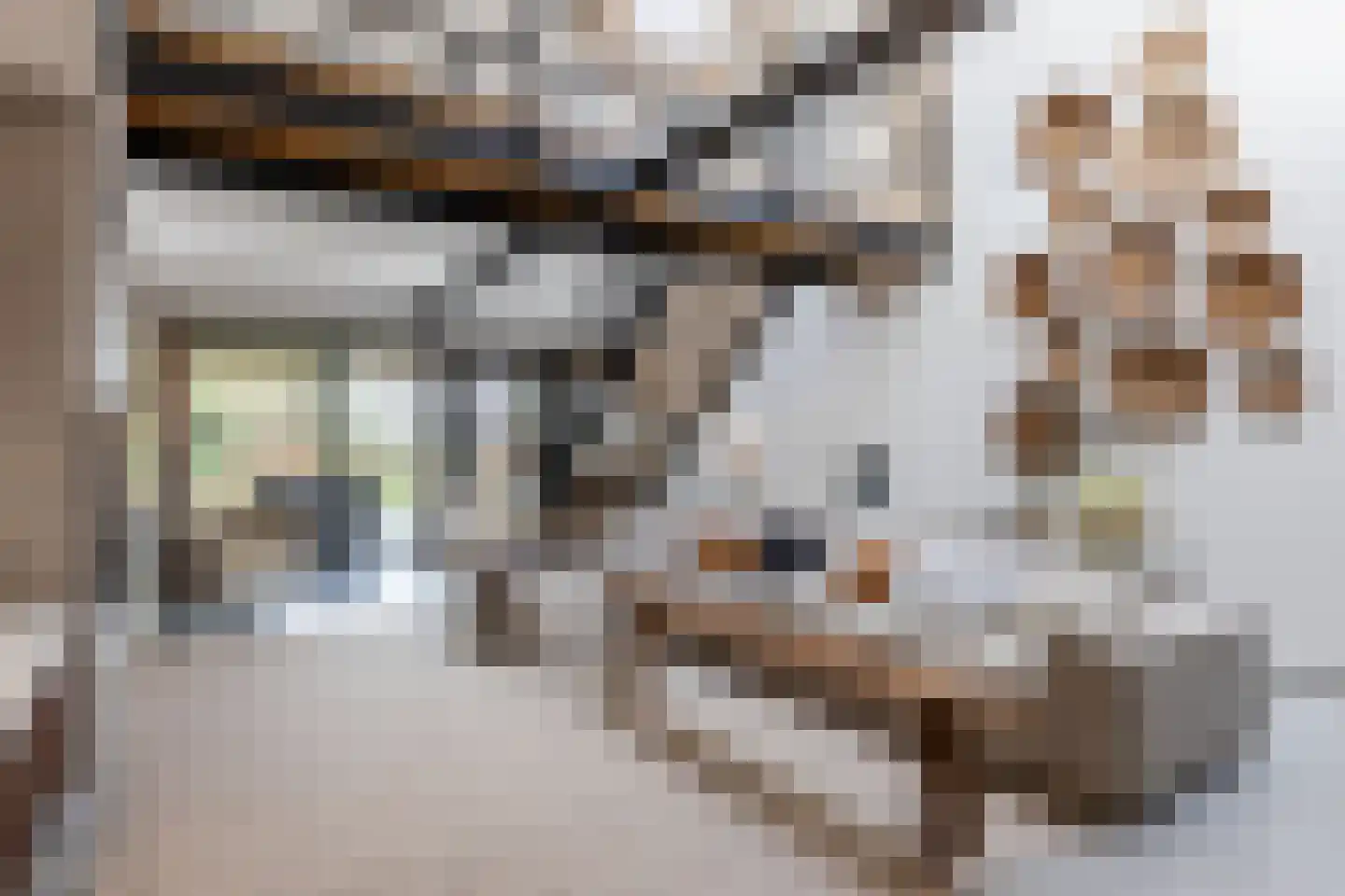 Lage Haghorst 21 Haghorst foto 2